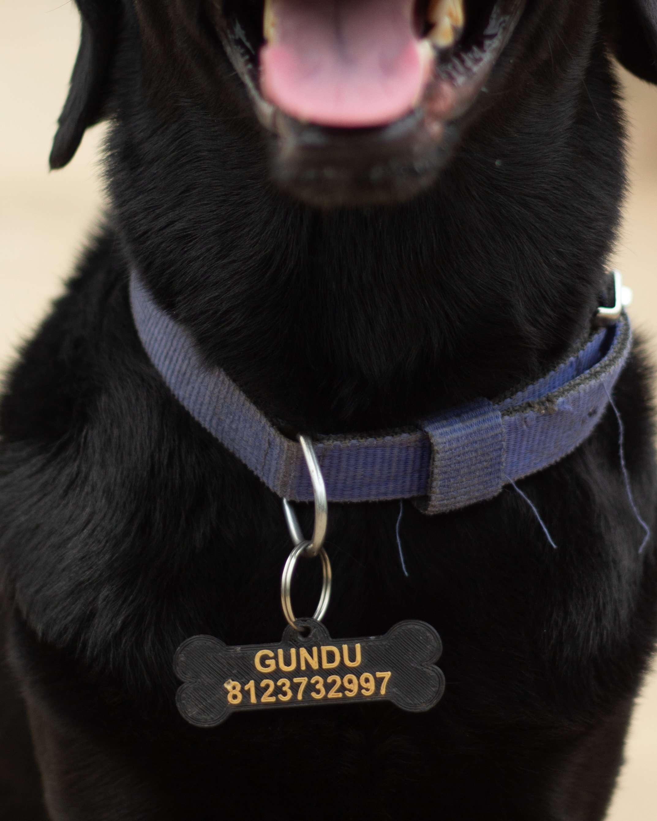 Bone Tag – The 3D Printing Store India - Main Image