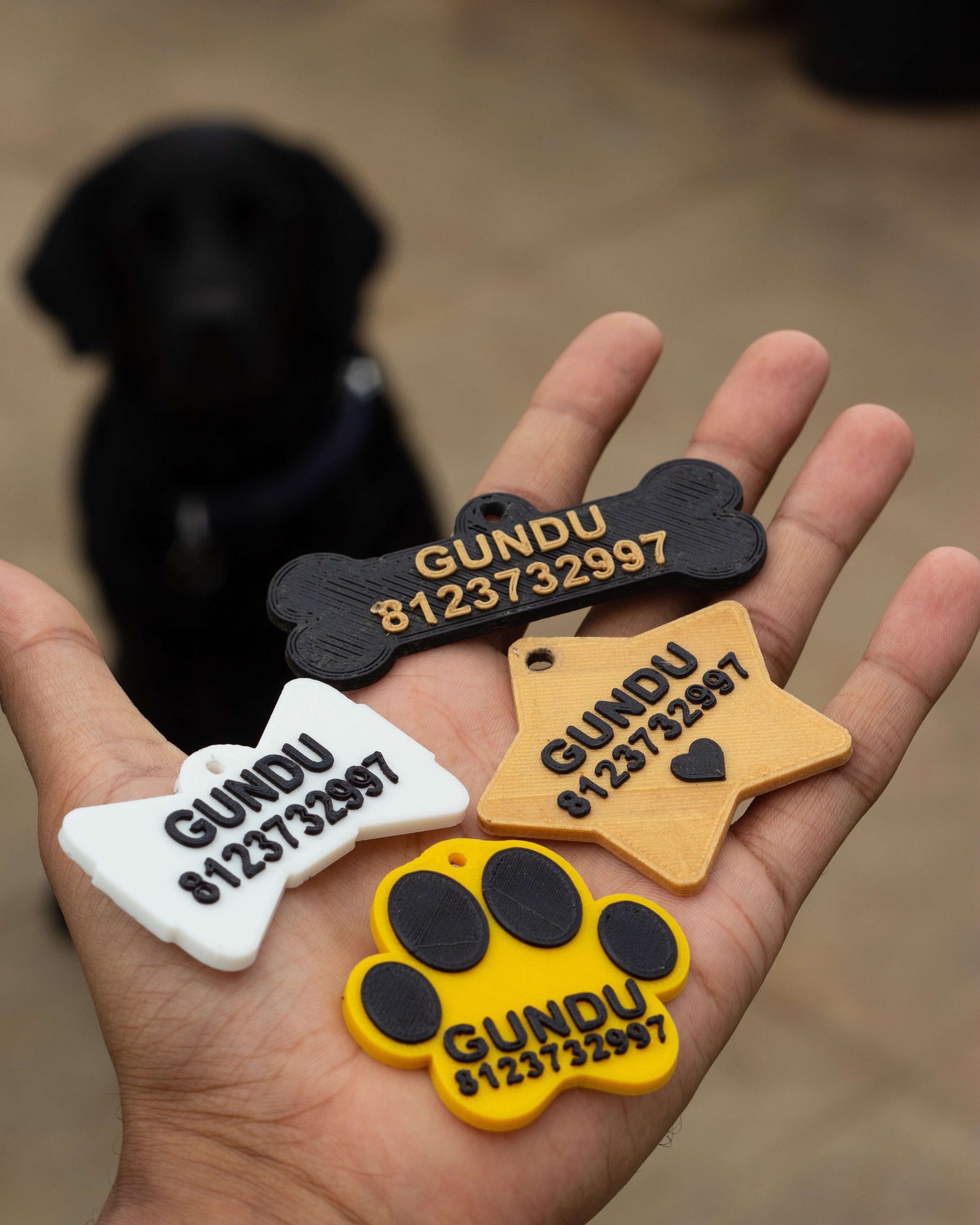 Pet Tags 🐕